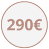 290 copia